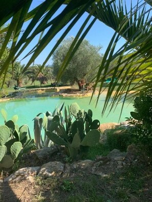 Seasonal outdoor pool, pool loungers - Agriturismo La Fontanella & Glamping  (Suvereto)