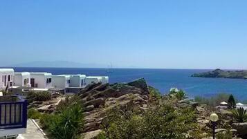 Appartement | 1 chambre