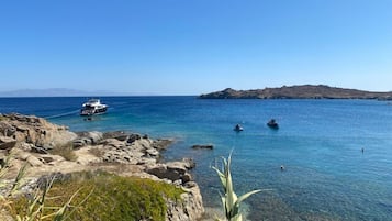 Apartment | 1 bedroom