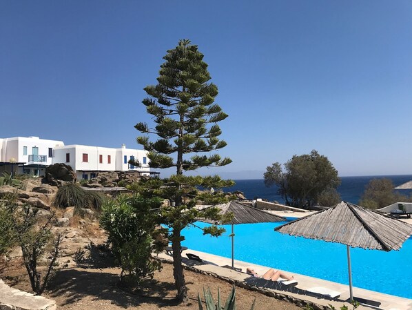 A resort with a pool, white buildings, and a pine tree. - Smart 4 Pers Apar in Costa Ilios Resort Myconos (Mykonos)