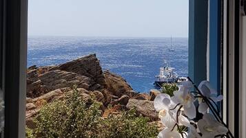 Apartment | 1 bedroom