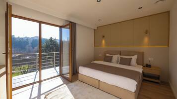 Deluxe Double Room, Balcony, Park View | In-room safe, iron/ironing board, free WiFi