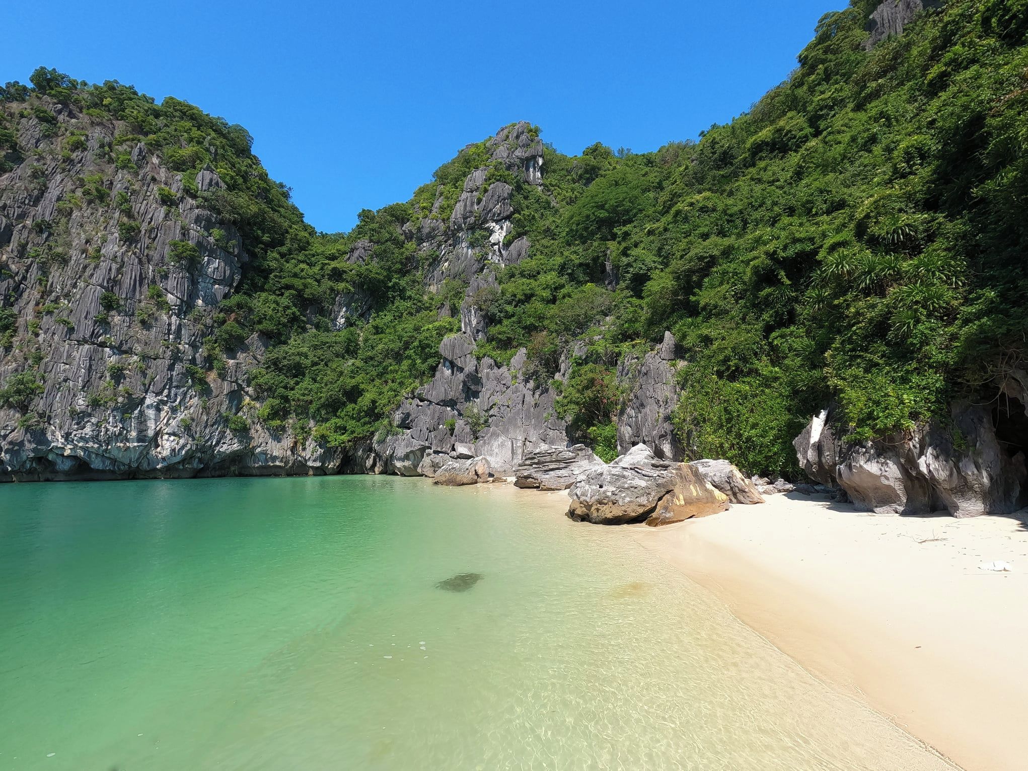 A beach with clear turquoise water, white sand, and rocky cliffs covered in greenery.