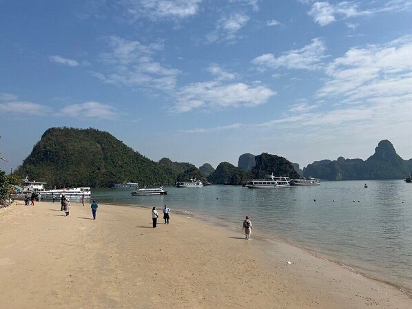 Ein Strand mit Booten und Menschen.