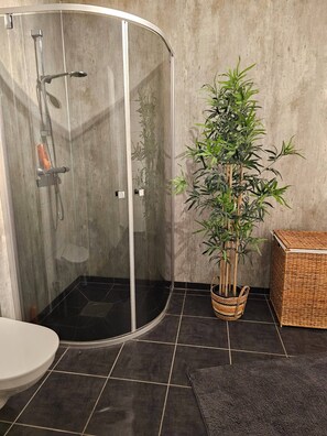 House, 3 Bedrooms, Mountain View | Bathroom