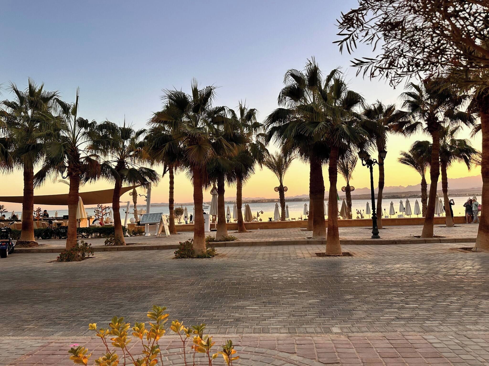 Căn hộ, 2 phòng ngủ, phù hợp cho người khuyết tật, hồ bơi riêng | Bãi biển