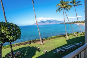 Property grounds - Royal Mauian #314 - Oceanfront Maui Condo with Easy Access to Kamaole Beaches (Kihei, Maui)