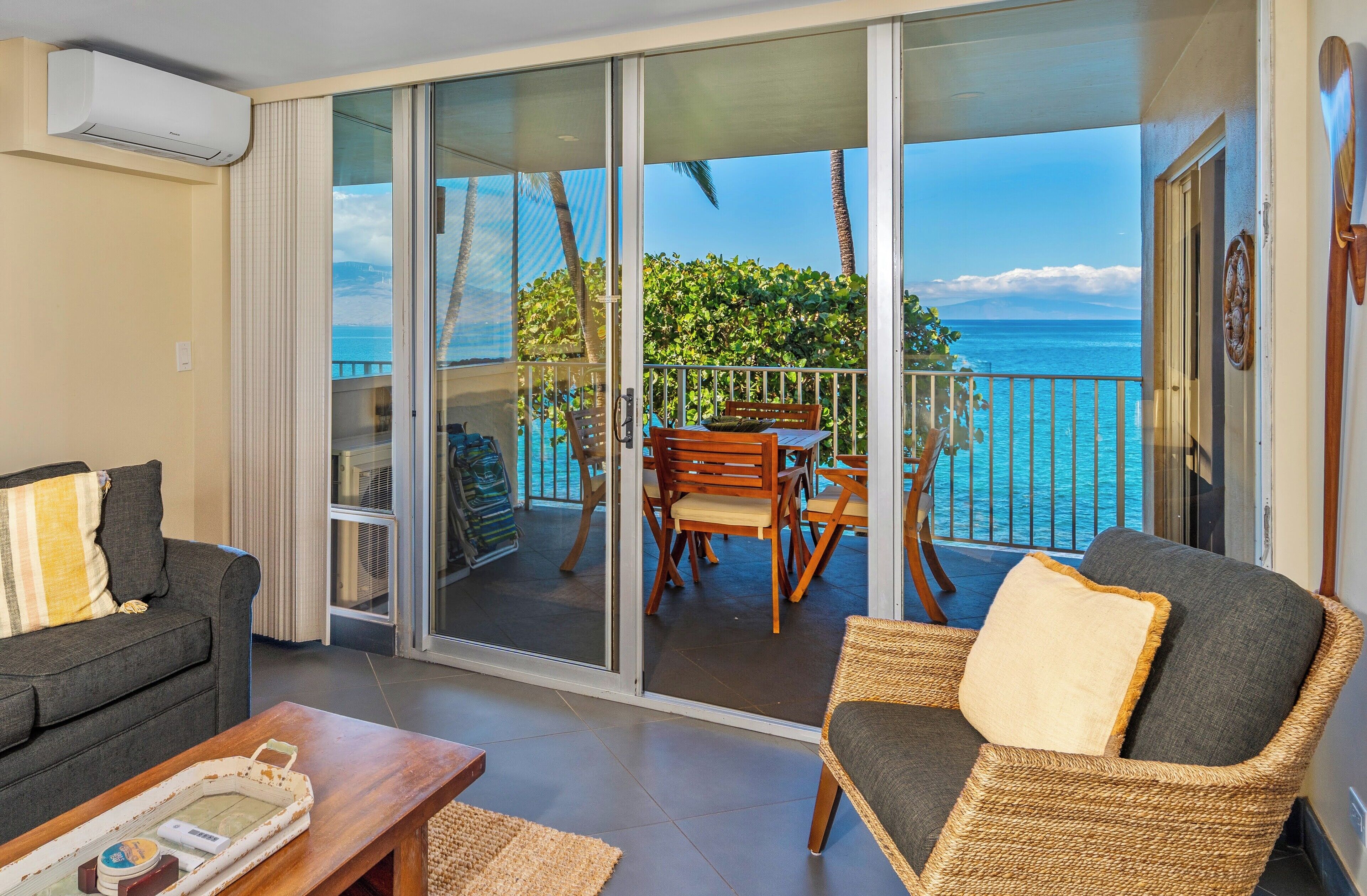 Älytelevisio, DVD-soitin