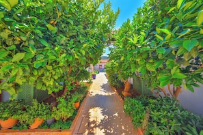 A narrow pathway flanked by lush green foliage, leading to a building with a red-tiled roof. - The Kaş Otel (Kas)