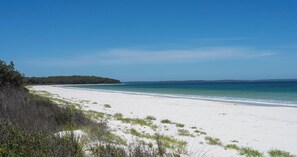 A beach with white sand, clear blue water, and a forested area in the background. - Sagewood Sands – everything you need at your doorstep (Callala Beach)