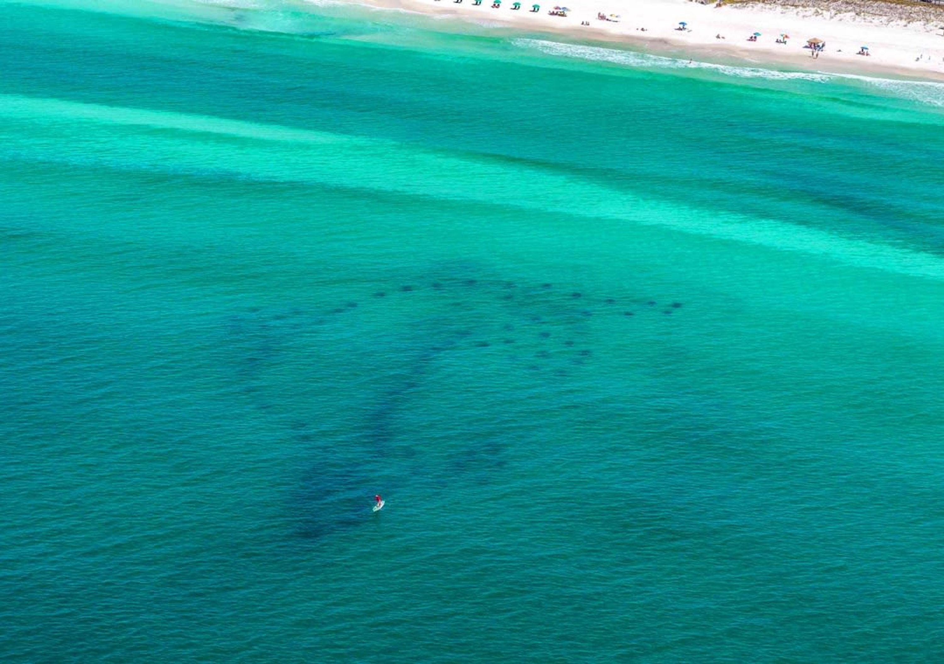 Casa | 5 dormitorios