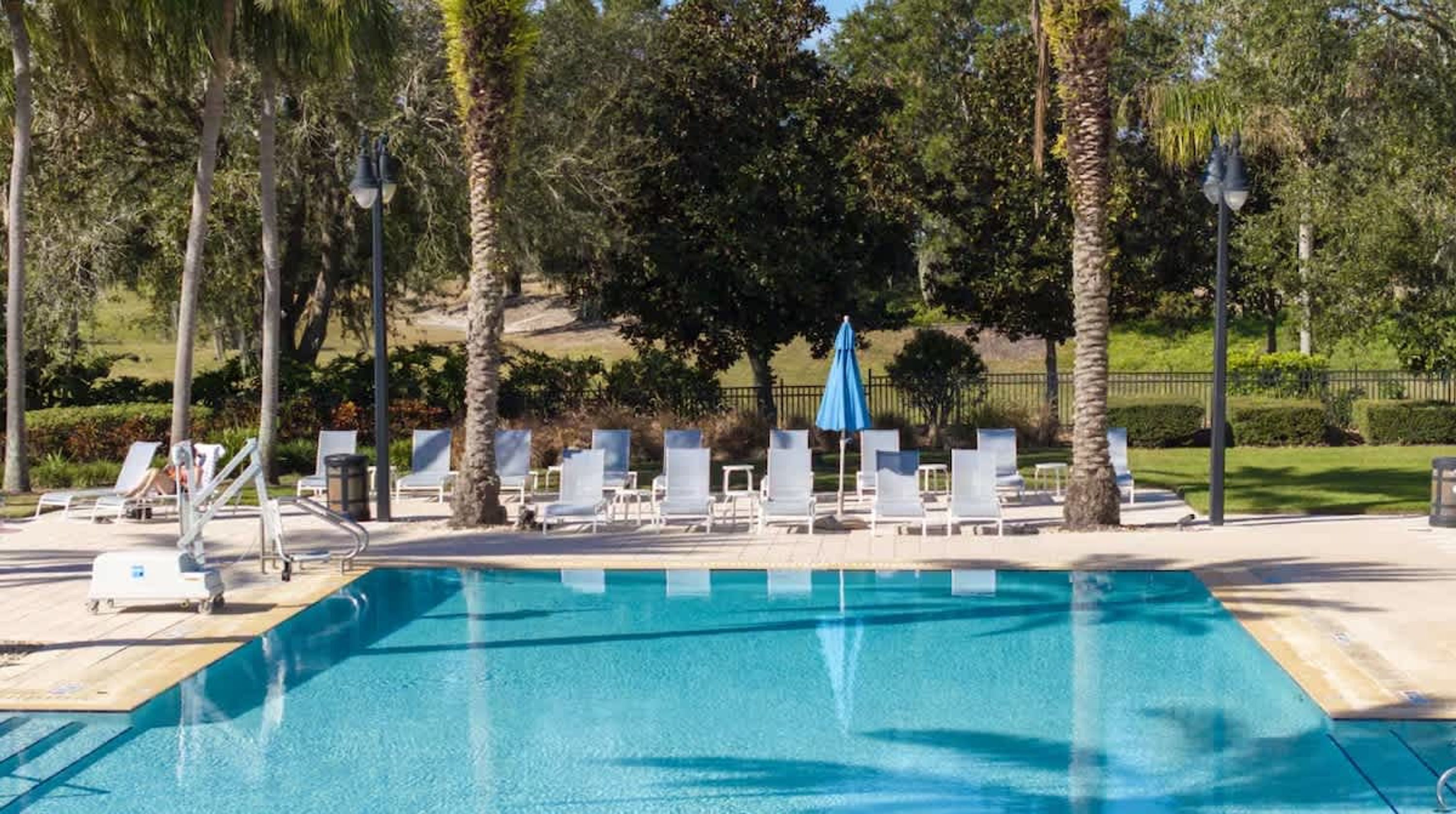 A swimming pool with lounge chairs and umbrellas, surrounded by palm trees and a fence.