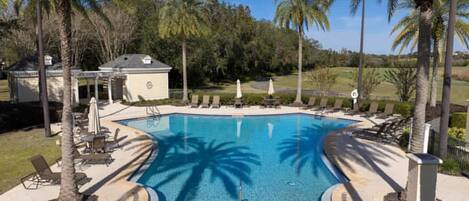 En swimmingpool med liggestole og palmer.