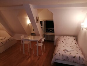 1 bedroom - Room-studio D on Barfüsserplatz Central (Basel)