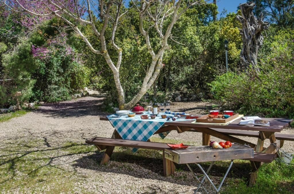 En picnicopstilling med et bord og bænke i en naturlig omgivelser med træer og buske.