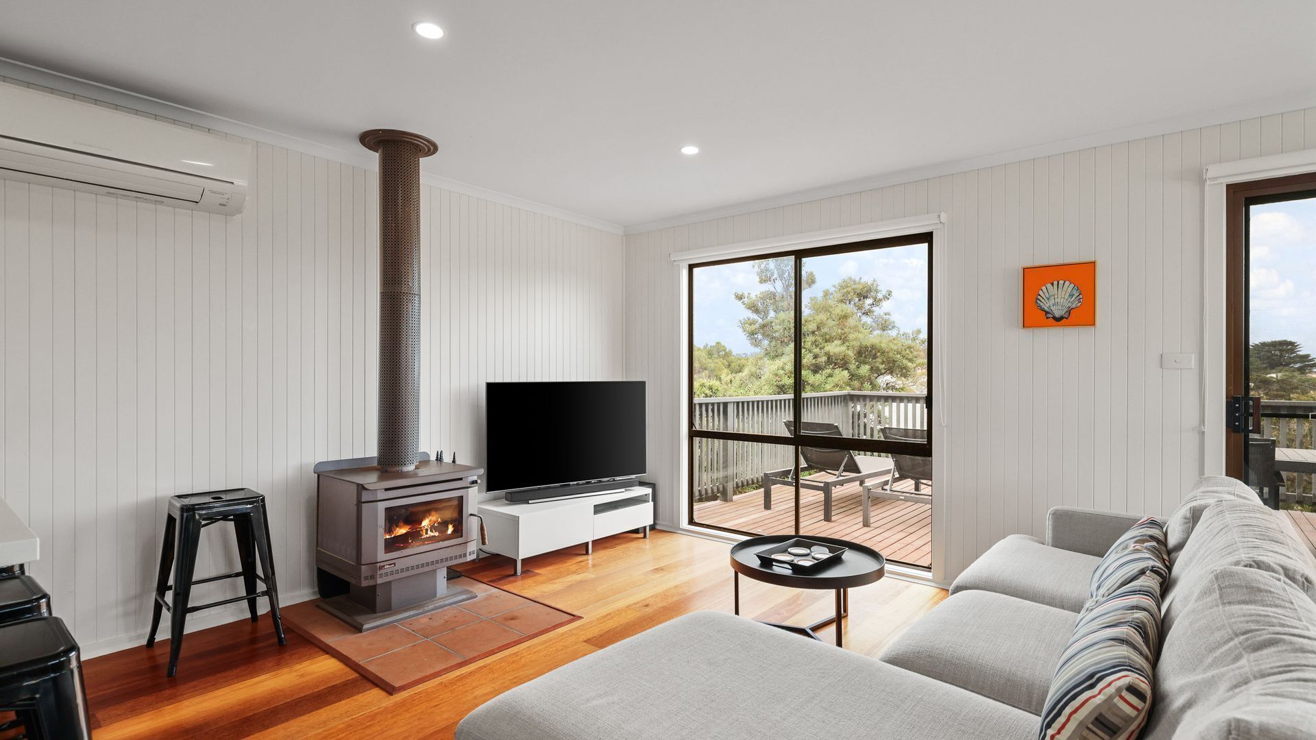 TV, fireplace