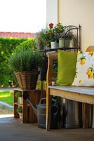 A wooden bench with a green cushion and a pillow with a lemon pattern. There is a wicker basket with plants and a watering can.