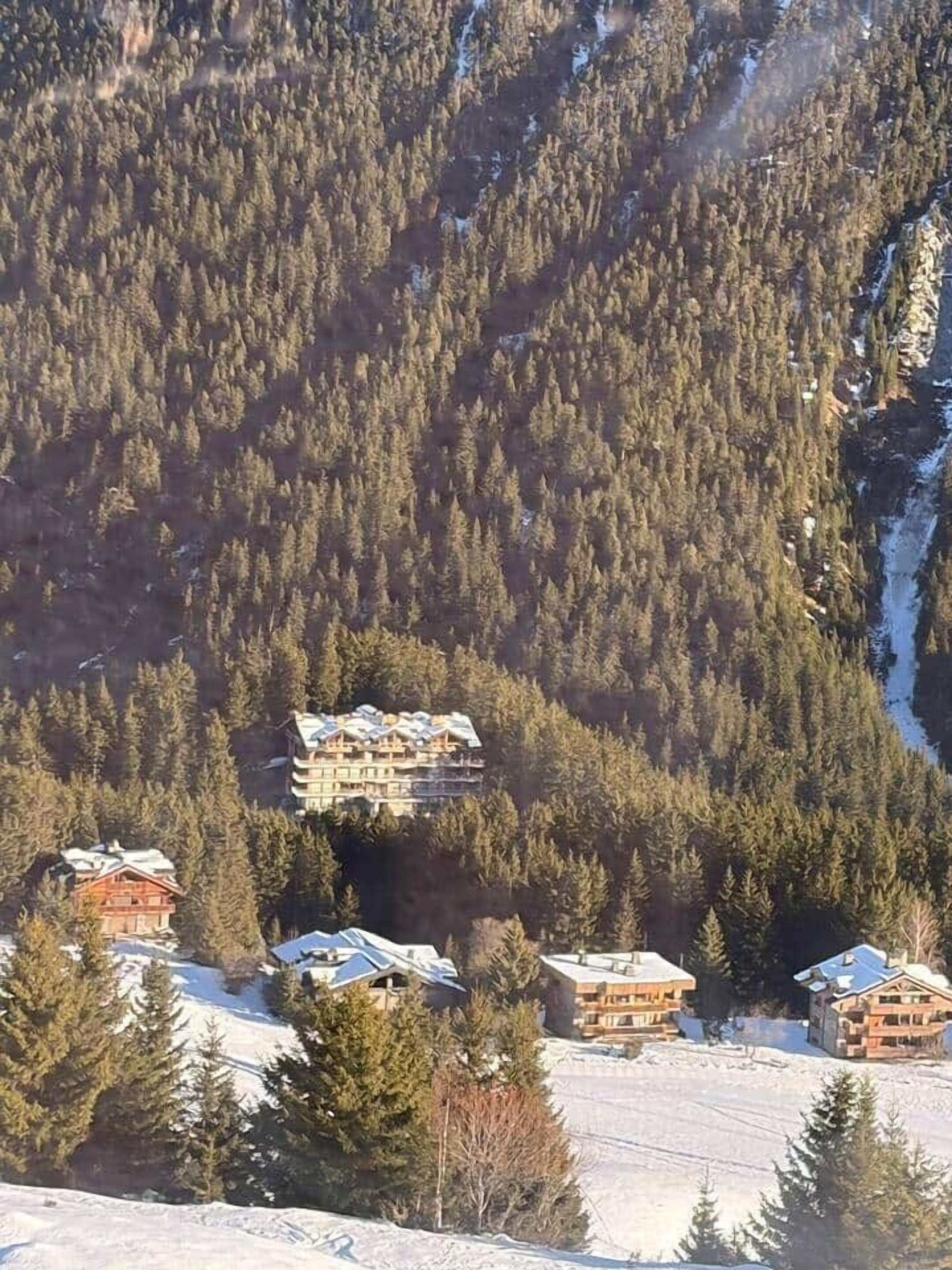 Une région montagneuse où se trouvent plusieurs chalets en bois, entourés d’une forêt dense et de neige.
