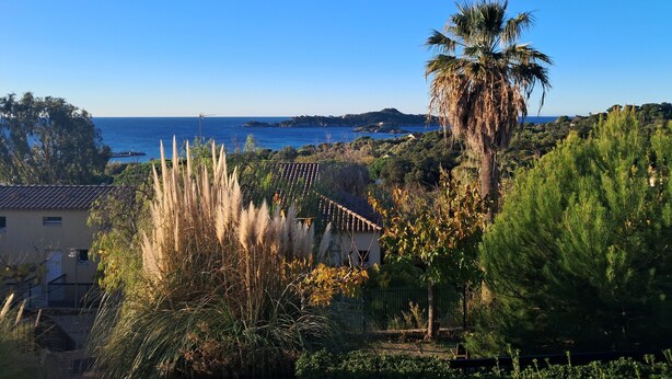 A coastal landscape with a clear view of the sea, a palm tree, and a house with a tiled roof. - VVF Hyères presqu'île de Giens (Hyères)