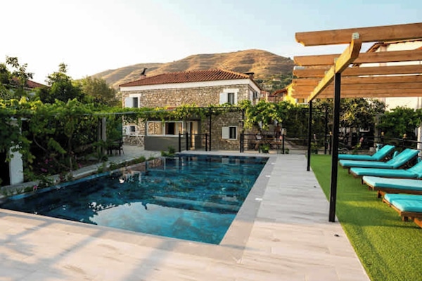 Shared swimming pool surrounded by greenery – perfect for cooling off on sunny days