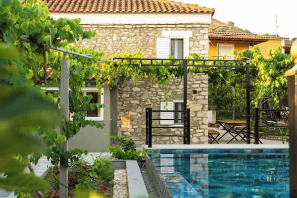 Shared swimming pool surrounded by greenery