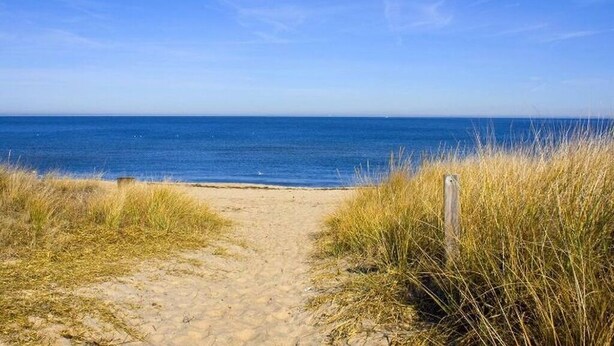 A sandy beach path leading to the ocean with tall grass on either side.