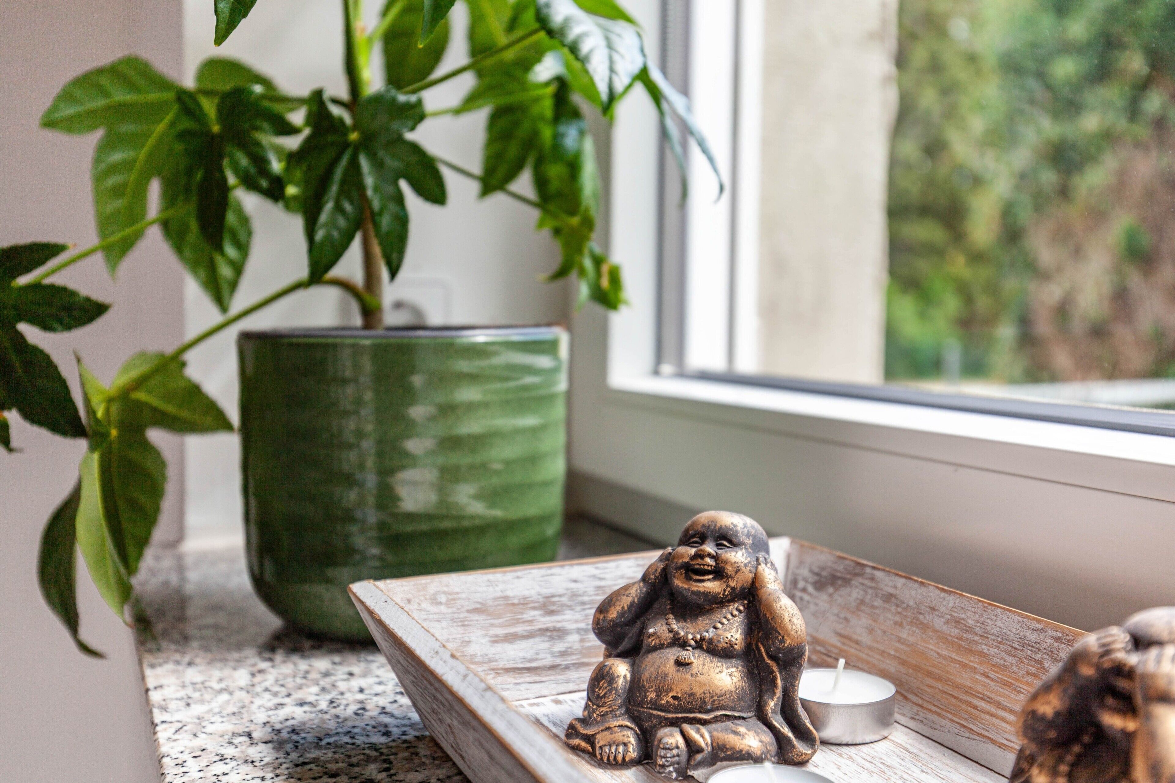 Ein Fensterbrett mit Buddha-Statue, Kerze und einer grünen Pflanze im Topf.