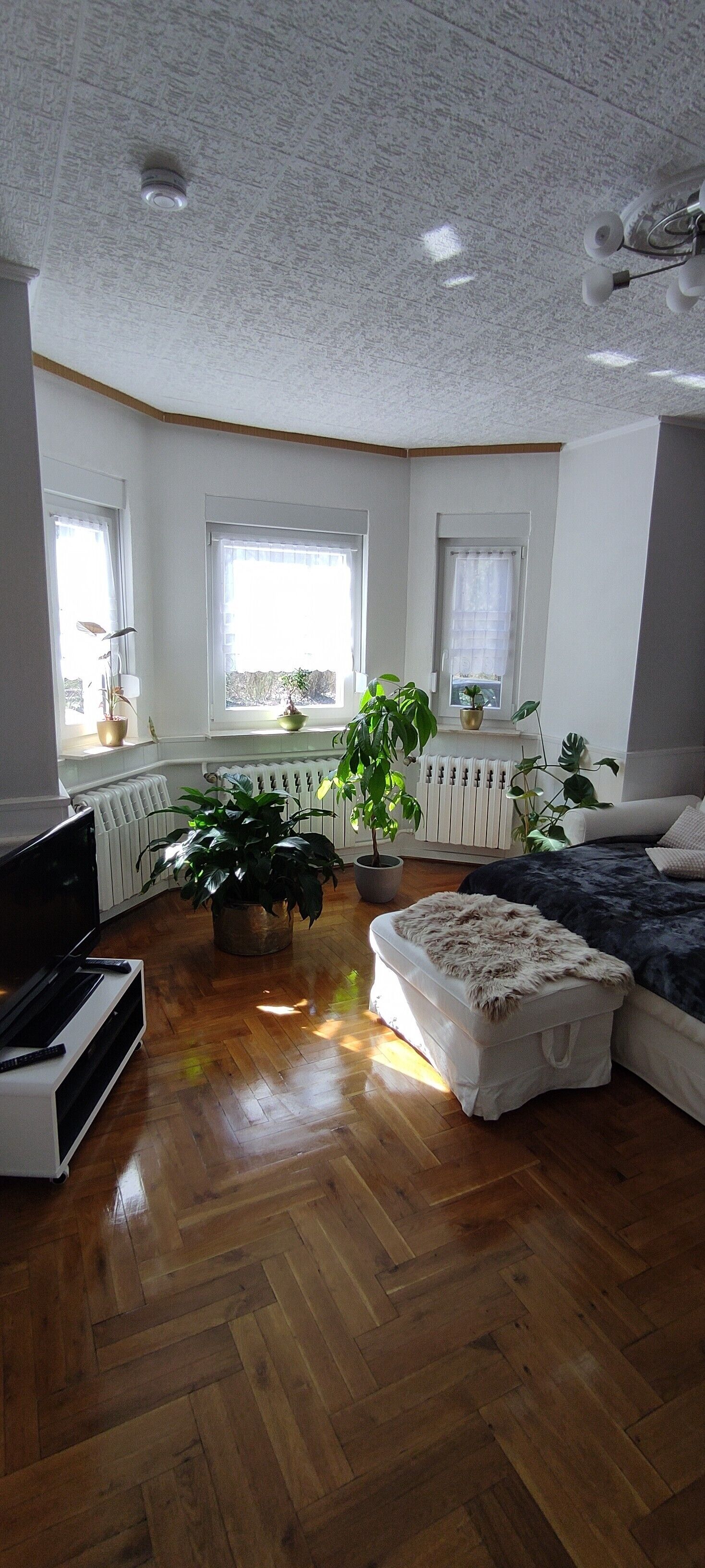 1 habitación, tabla de planchar con plancha y ropa de cama 