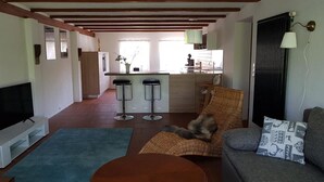 A living room with a sofa, a chair, a television, a kitchen area with a bar, and a window with curtains. - Gut Belgerhof Steinbach Holiday Apartment (Steinbach)