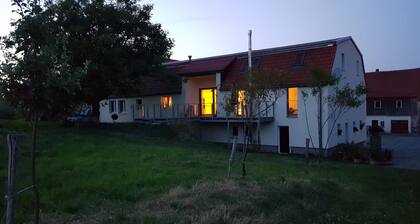 Gut Belgerhof Steinbach Ferienwohnung