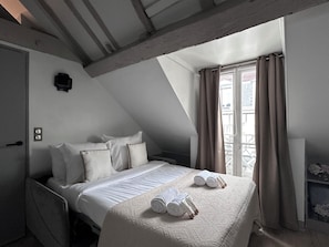 Iron/ironing board, free WiFi - 1531 Bourgeois (Paris)