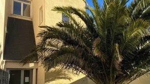 Un bâtiment avec un palmier dans le jardin.