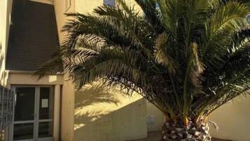 Enceinte de lâhĂ©bergement