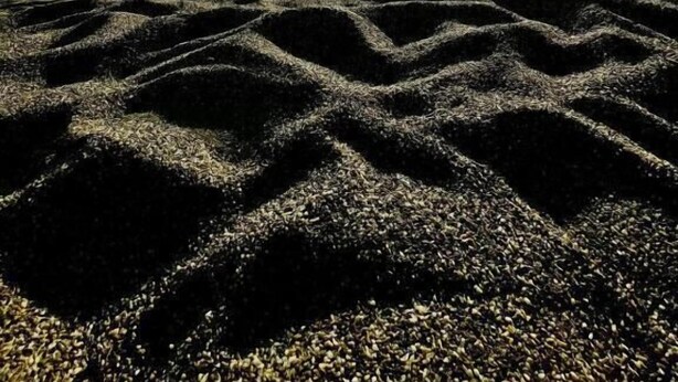 Une plage où le soleil se couche sur l’océan, projetant des ombres sur le sable.