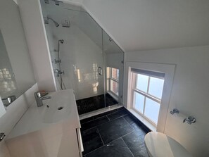 Chuveiro, secador de cabelo, toalhas de banho 