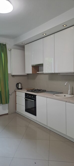 Private kitchen - Peacful place family and pet-friendly close to higways and airport, bistro bar (Warsaw)