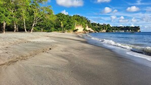 Ein Strand mit sandigem Ufer, Bäumen und blauem Himmel.