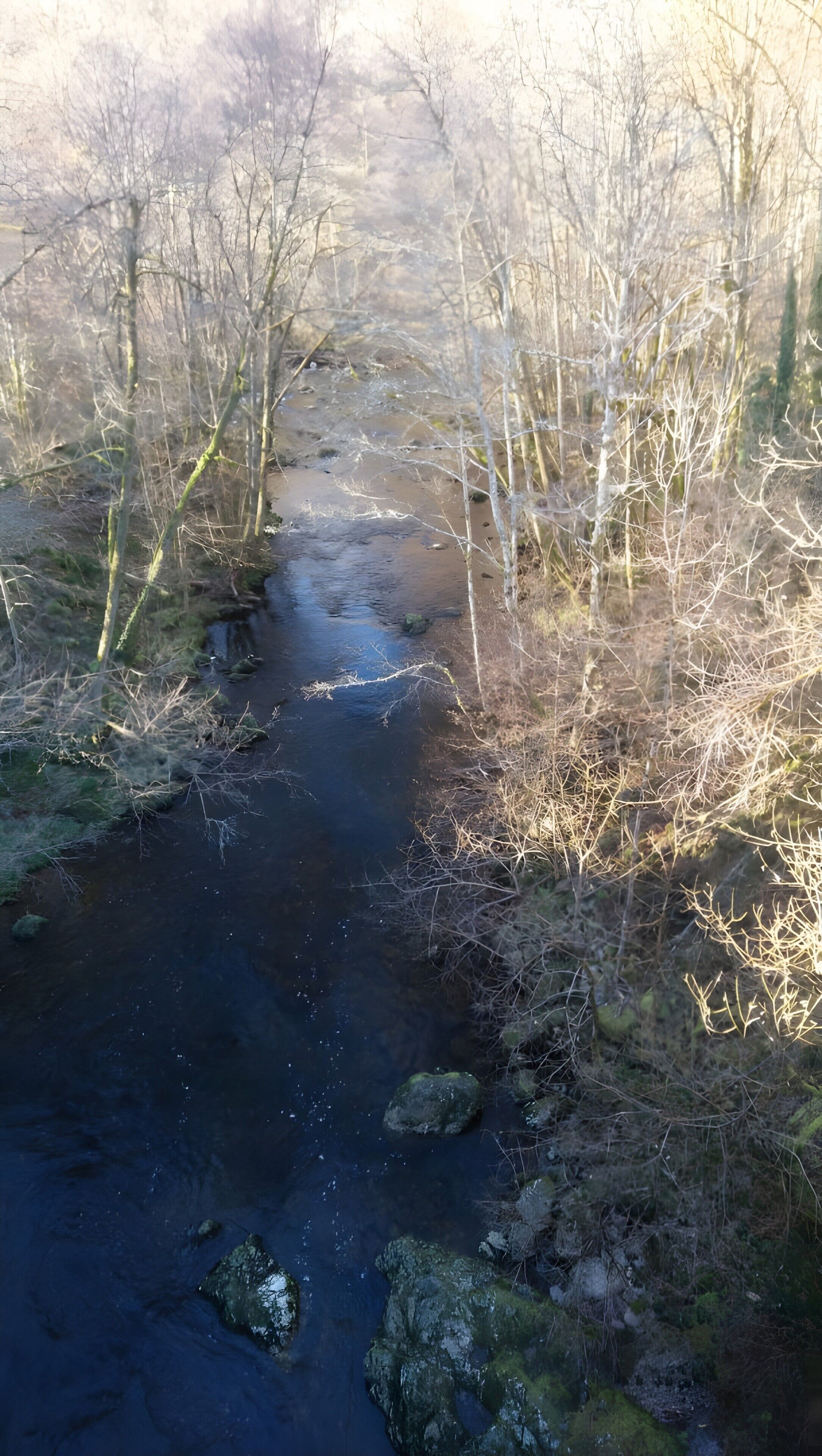 A narrow stream with rocks and sparse vegetation.