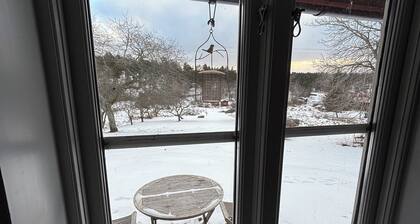 Charming cottage on Ornö - close to sea, forest and nature