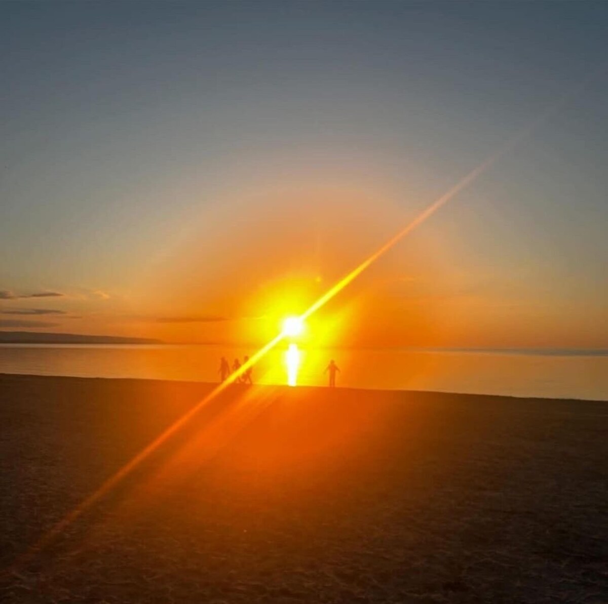 Imagen de perfil del propietario o de la propietaria