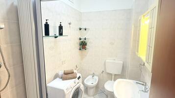 Shower, hair dryer, bidet, towels