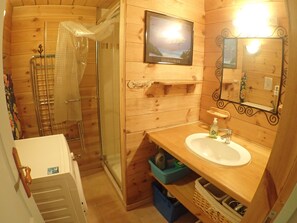 Shower, hair dryer, soap, toilet paper