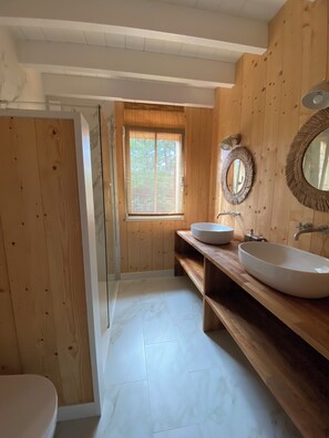 Shower, hair dryer, towels, soap