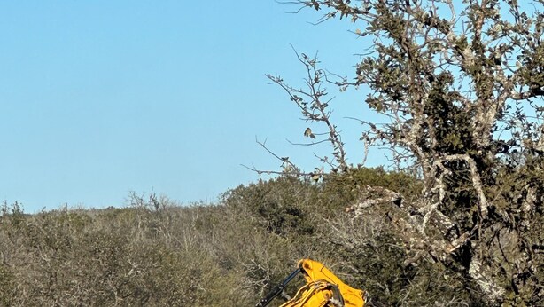 Ein gelber JCB-Radlader in einer naturbelassenen, bewaldeten Gegend.