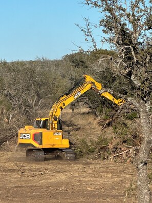 En gul JCB-gravemaskine i et naturligt, skovområde.