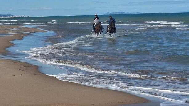 A beach with horses and riders.