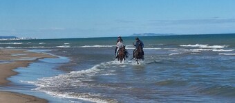 Casa de campo con piscina, cerca de la playa, apta para familias, niños y mascotas.