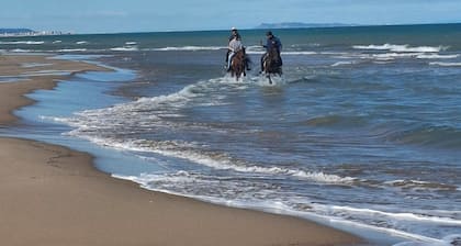 Casa de campo con piscina, cerca de la playa, apta para familias, niños y mascotas.