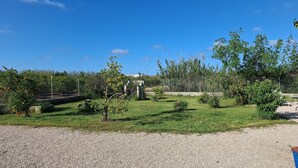 A gravel driveway leading to a grassy area with trees and a fence.