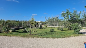 A gravel driveway leading to a grassy area with trees and a fence.